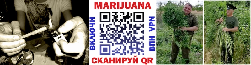 где купить наркоту  KRAKEN ССЫЛКА  Бошки марихуана Amnesia  Малмыж 